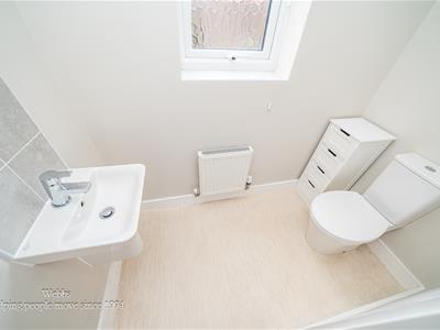 Picture 13